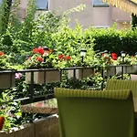 Hotel Rovere Losone